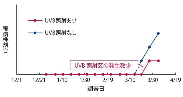 うどんこ病株割合推移グラフ